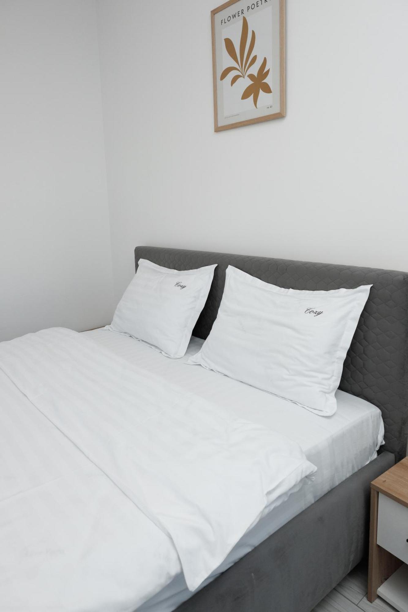 Exclusive Ultracentral Apartments And Studios #Enescu#Universitatii#Сучава Экстерьер фото